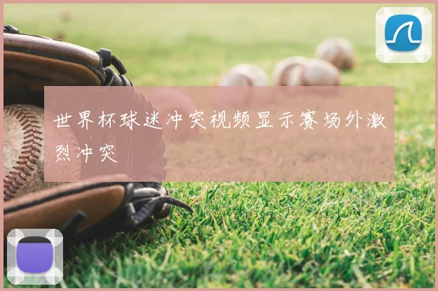 世界杯球迷冲突视频显示赛场外激烈冲突